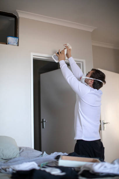 Best Air Quality Testing for Mold Spores  in Salem, MA