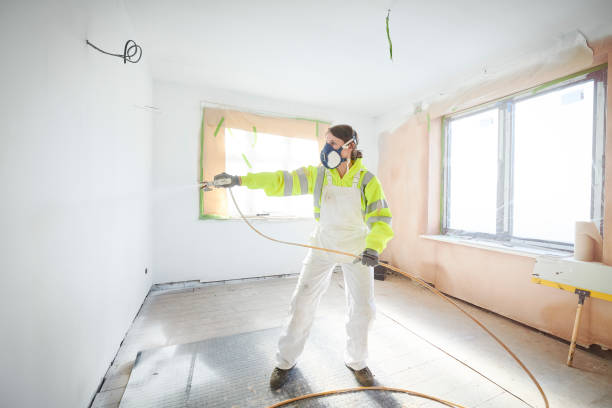 Mold Remediation for Rental Properties in Salem, MA
